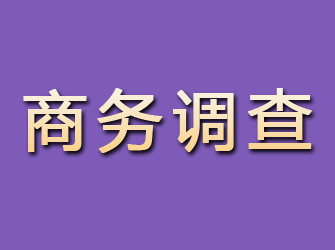 牟平商务调查